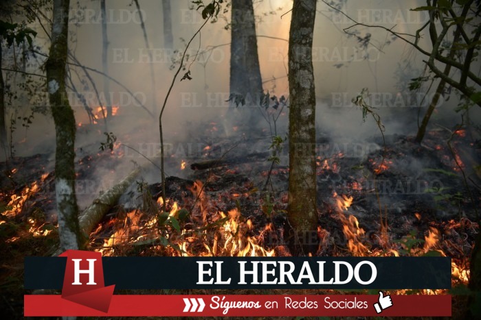 El Heraldo De Tuxpan Da Inicio La Temporada De Incendios Forestales Y Ya Van Cuatro En La 2120